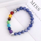 Pulsera Conmemorativa Puente Celestial – Regalo con 7 Perlas de Chakra por la Pérdida de una Mascota