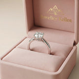 Anillo Savaya El Playa